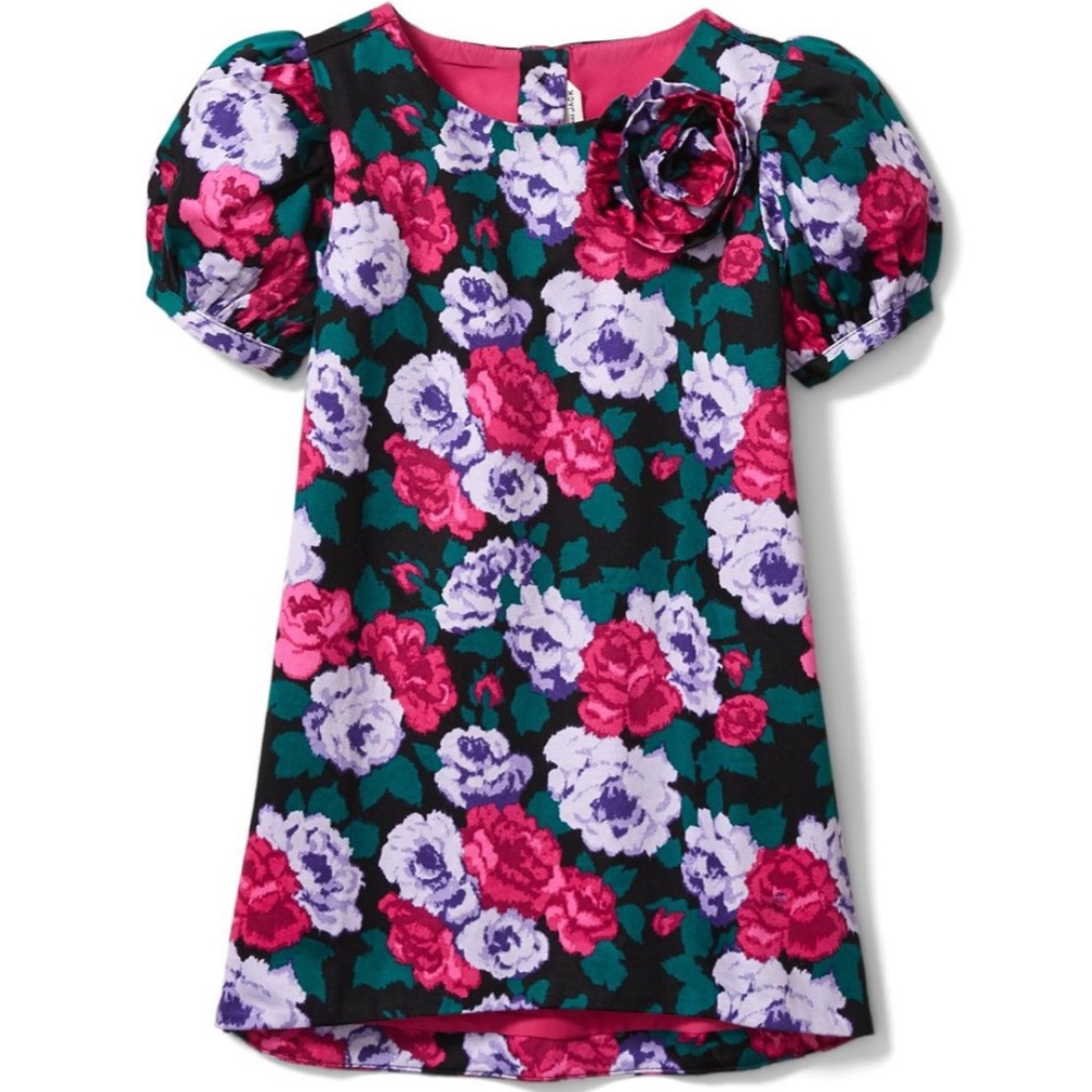 Like New Beautiful JANIE AND JACK KIMBERLY GOLDSON FLORAL DRESS